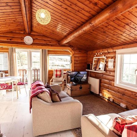 Trawsfynydd Welsh Retreat 2 Bedroom Log Cabin - Seren Property المظهر الخارجي الصورة