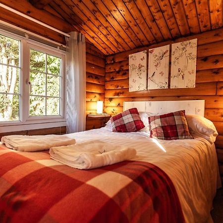 Trawsfynydd Welsh Retreat 2 Bedroom Log Cabin - Seren Property المظهر الخارجي الصورة