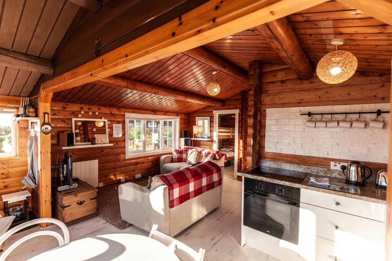 Trawsfynydd Welsh Retreat 2 Bedroom Log Cabin - Seren Property المظهر الخارجي الصورة