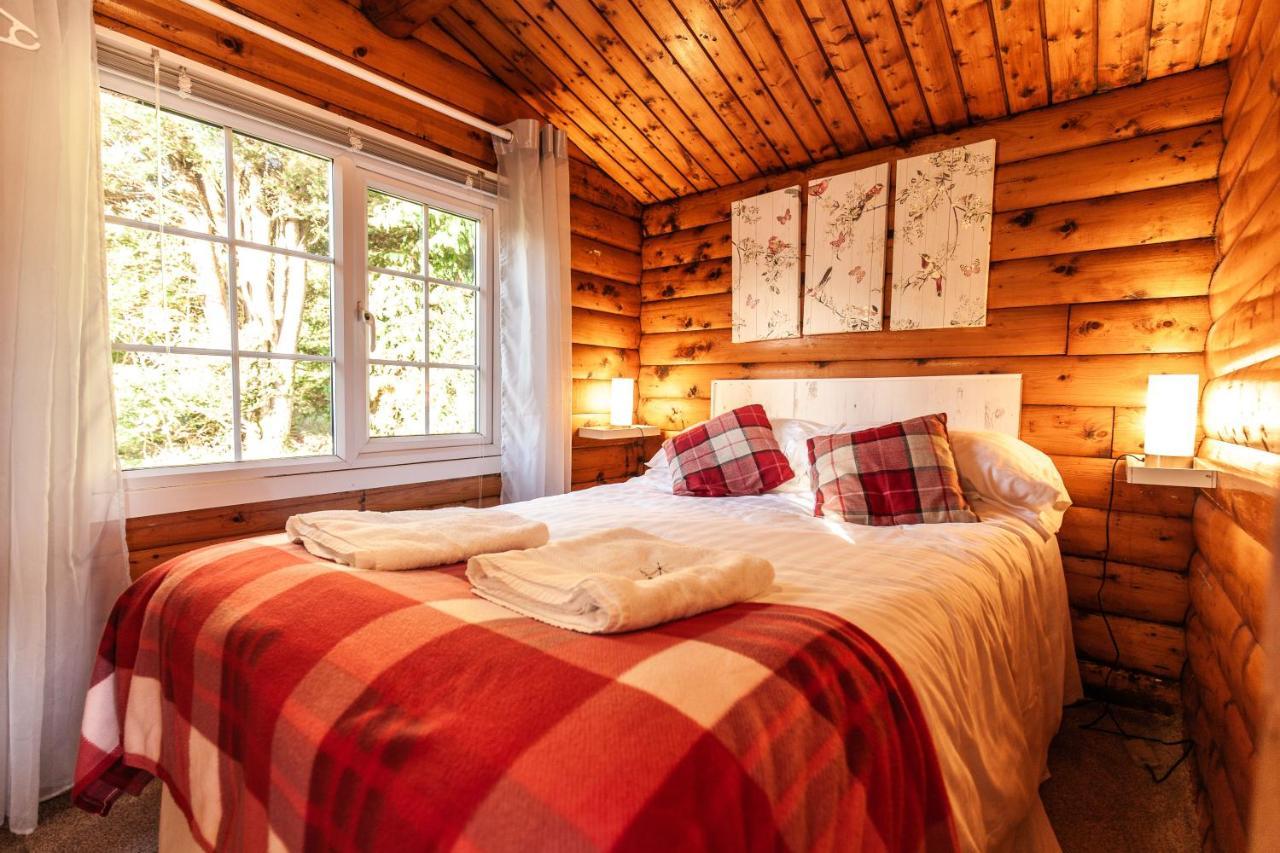 Trawsfynydd Welsh Retreat 2 Bedroom Log Cabin - Seren Property المظهر الخارجي الصورة