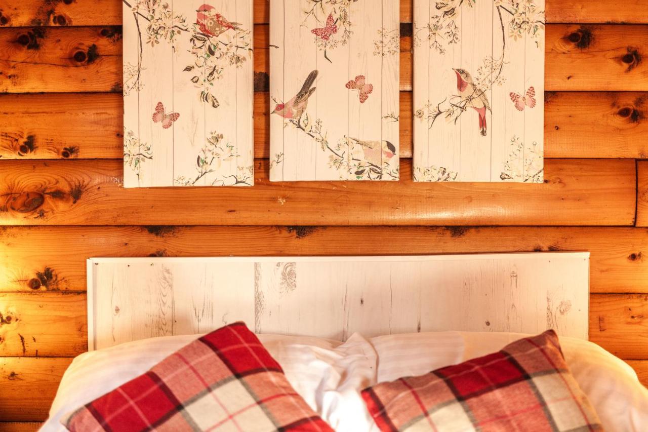 Trawsfynydd Welsh Retreat 2 Bedroom Log Cabin - Seren Property المظهر الخارجي الصورة