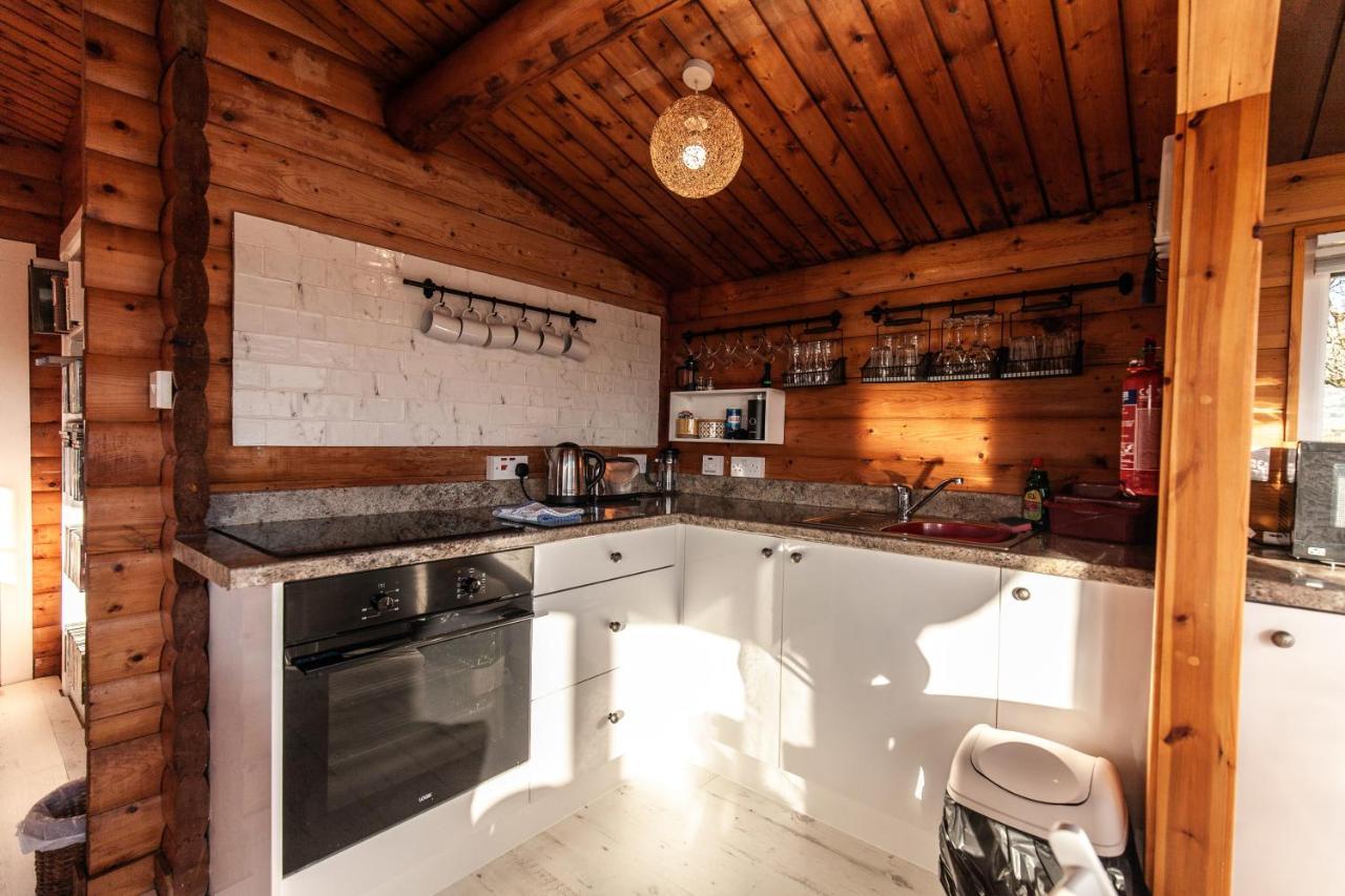 Trawsfynydd Welsh Retreat 2 Bedroom Log Cabin - Seren Property المظهر الخارجي الصورة